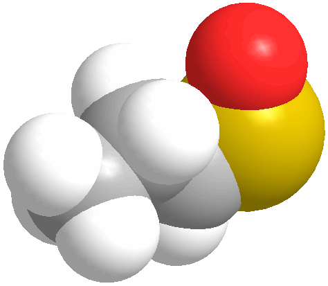 Space filling model of propanethial S-oxide, click for 3D structure